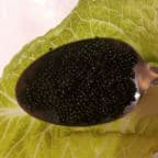 Best Black Tobiko in Silver Spring, MD